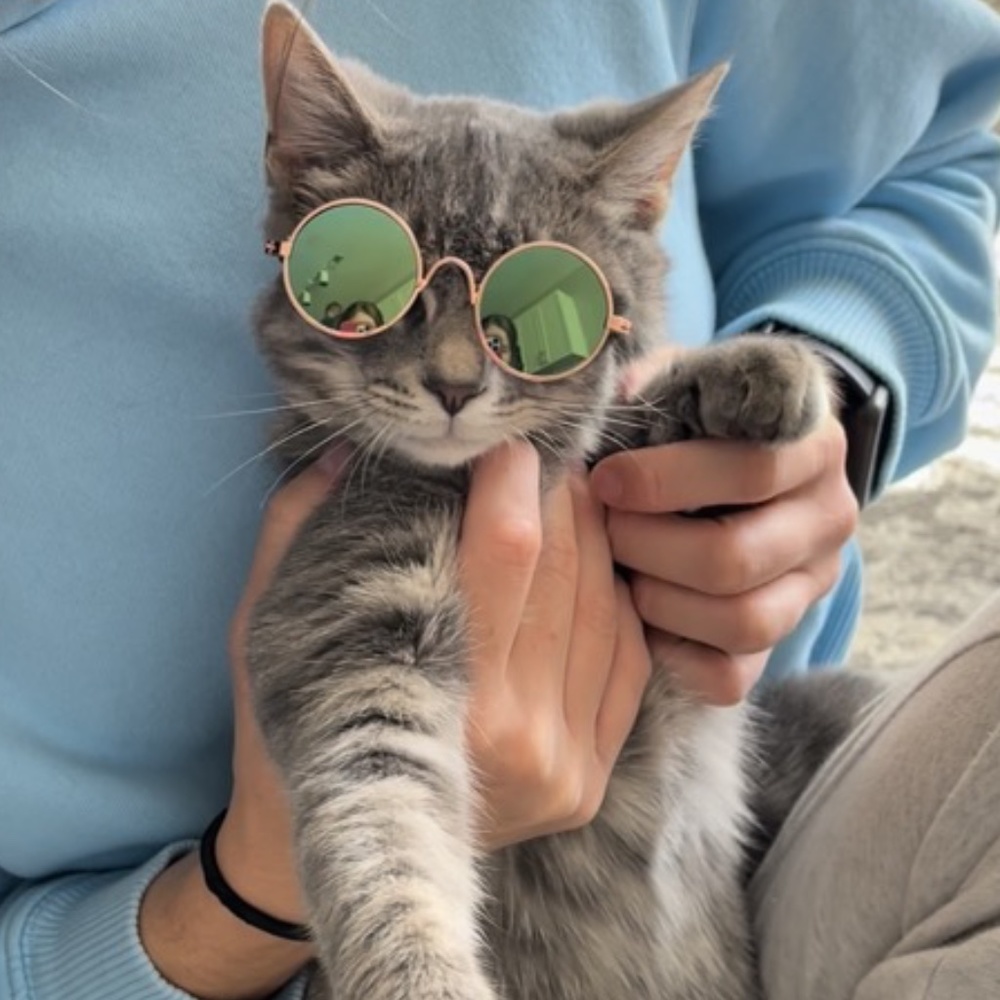 Meet your Posher, Kate